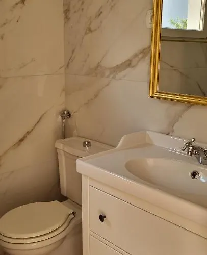 Apartma Zlati Konzul 公寓